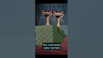 Disney Racism Lady The Tramp 