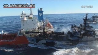 シー・シェパード危険な体当たり、調査捕鯨の給油また妨害