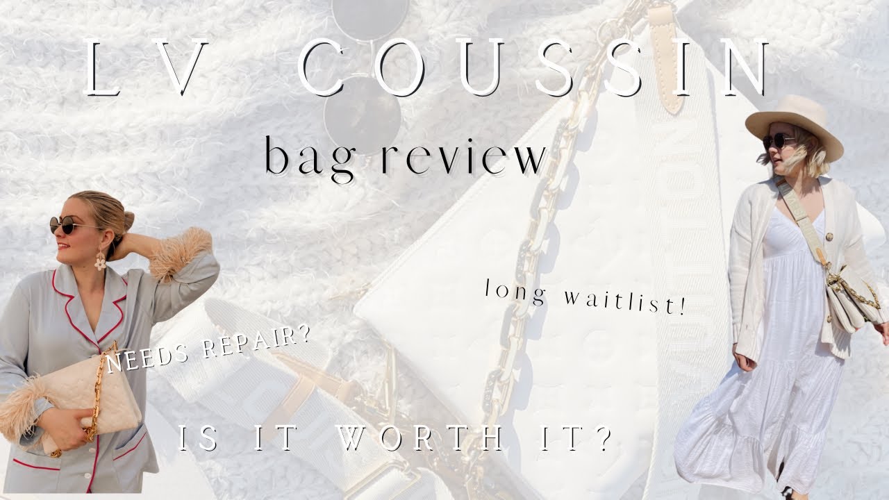LV Coussin pm bag: honest review after two months of use – laura zier