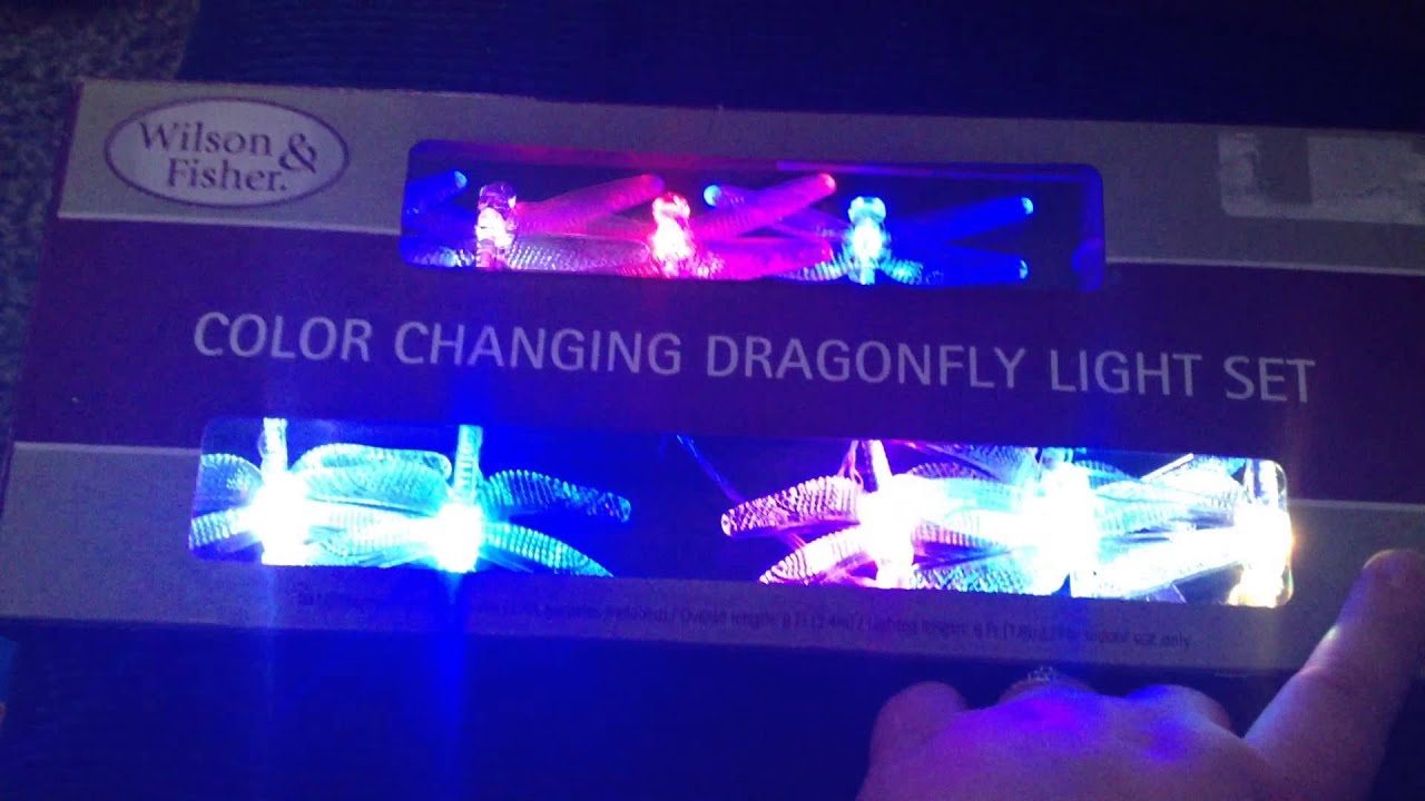 Dragonfly Lights