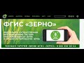ФГИС Зерно, как зарегистрироваться, как подписать документ, ошибка 400 как решить