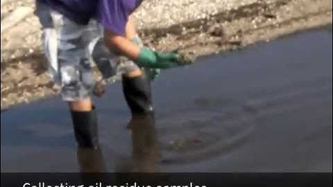 Public Lab in 30 seconds | Public Lab