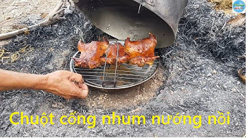 332 | Chuột cống nhum ướp sa tế nướng nồi | mouse