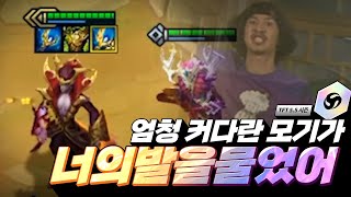 엄청커다란모기가 너의 발을 물었어 (롤토체스, tft, 롤토체스5.5)