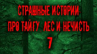 картинка: Страшные истории про тайгу, лес  и нечисть. 6 | Мистика Zvook. Олег Ли