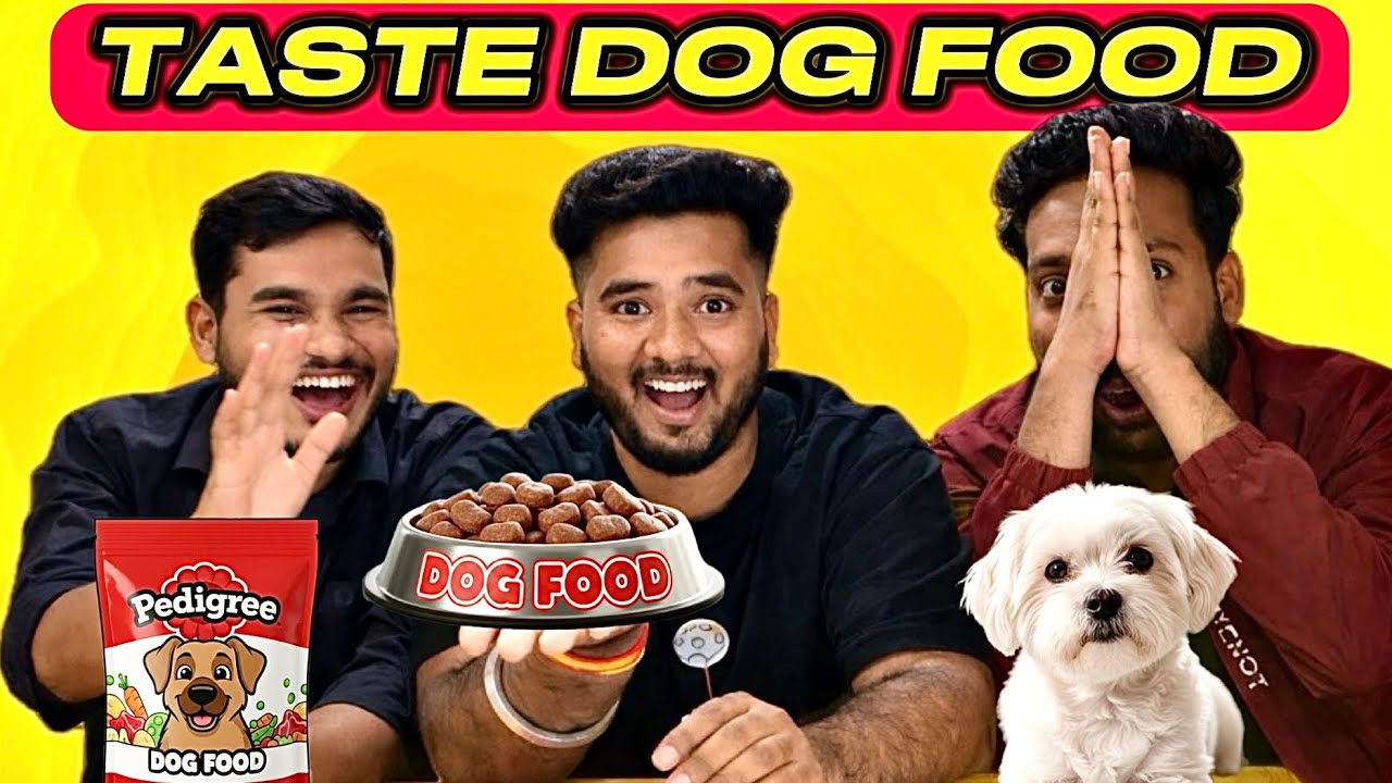 Dog Food Taste Test 😱 | First Time Trying Dog Food | Marathi Fun | Pokal Gappa
