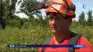 La maladie de Lyme transmise par la tique screenshot 2