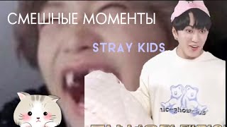 ДА ЛАДНО!СМЕШНЫЕ МОМЕНТЫ stray kids!!🦥