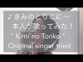 本人が歌ってみた #summertime #kiminotoriko #original #cinnamons #eveningcinema #shorts