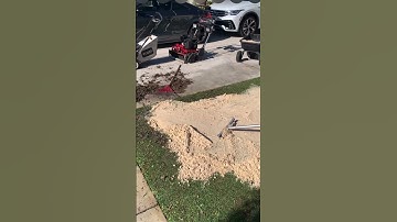 How to level St Augustine turf