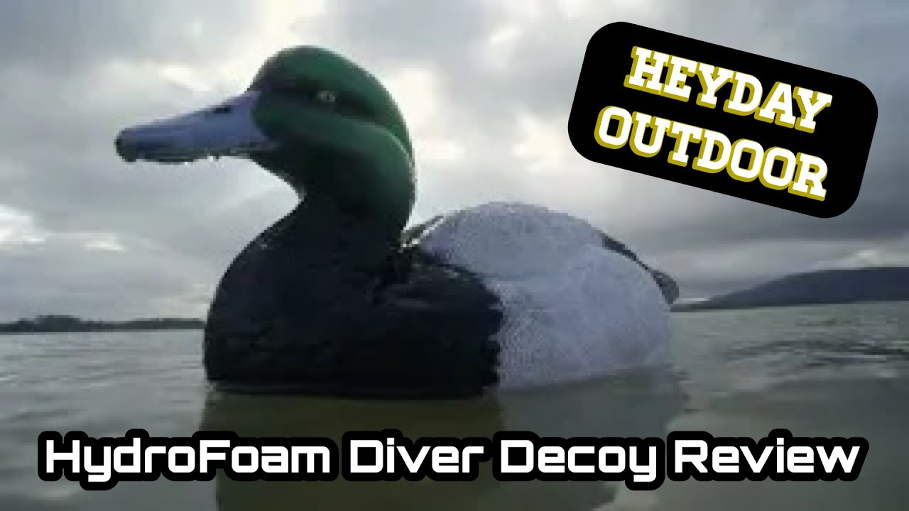Heyday Outdoor HydroFoam Diver Duck Decoys Review & Field Test YouTube