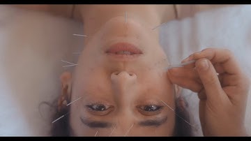 Folly Tree - Mad is the Beast (Official Video)