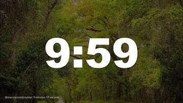 9 minutes 59 seconds [599 secs] clock timer countdown || Alarm Focus