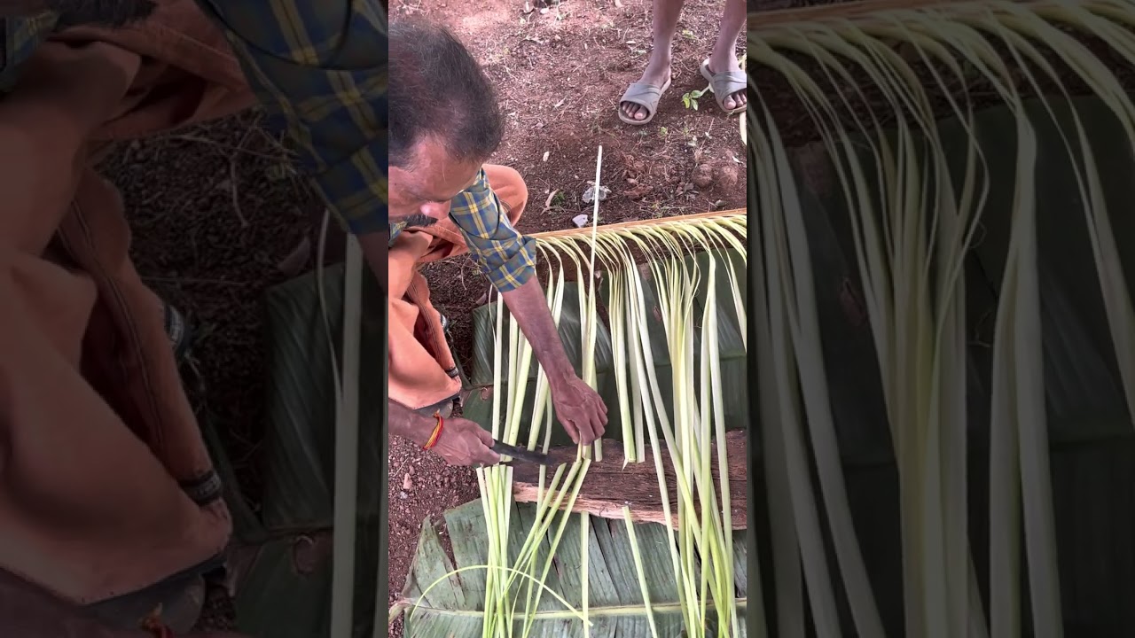 കുരുത്തോല