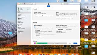 Hot To Get UDID of iPhone using iTunes.
