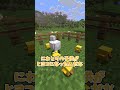 マイクラ新要素2選!