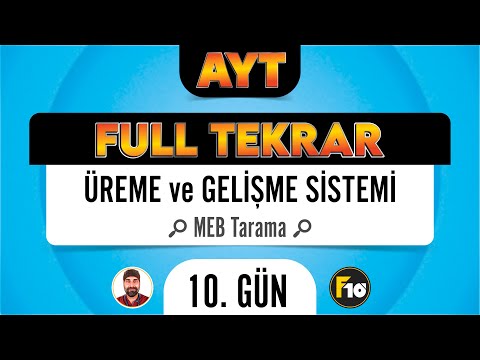 MEB Biyoloji Kitabı Üreme Sistemi Taraması F10 Full Tekrar Kampı