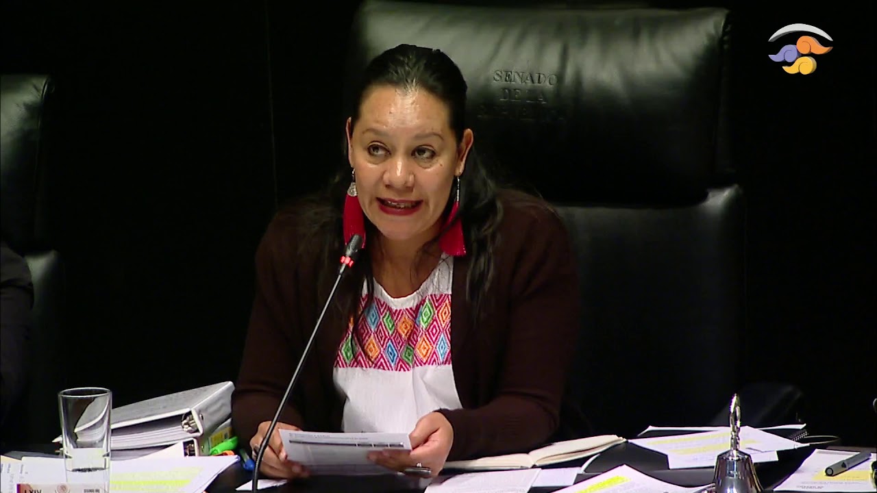 Se cumplieron todas las medidas de austeridad ordenadas por Ejecutivo: Secretaria de Bienestar senador kahulugan