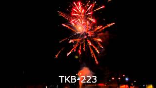 TKB 223