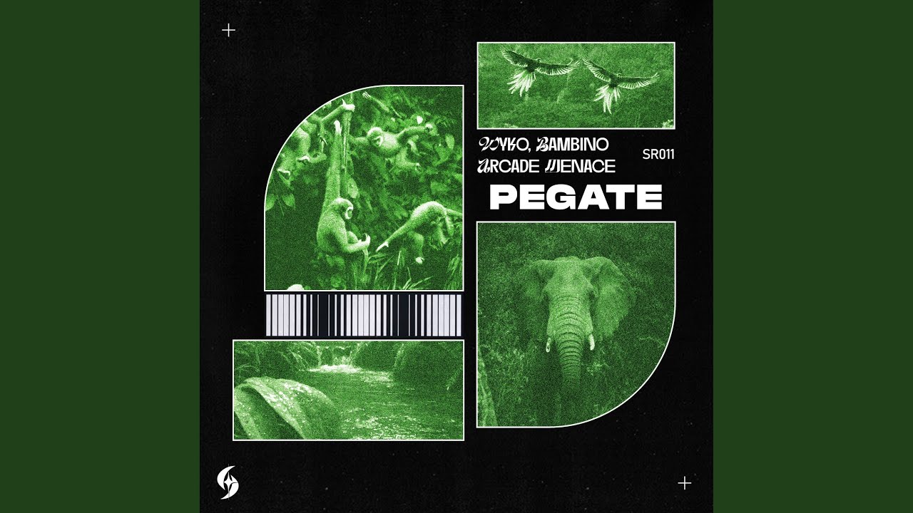 Obejrzyj Pegate (Extended Mix) w YouTube Obejrzyj Pegate (Extended Mix) w YouTube