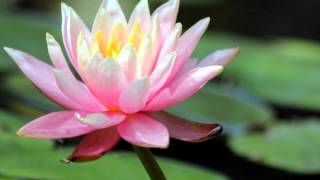 Windows Live Movie Maker Beach Project End Result screenshot 5