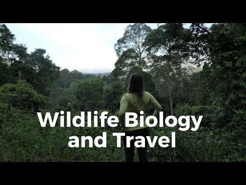 Do Wildlife Biologists Travel?