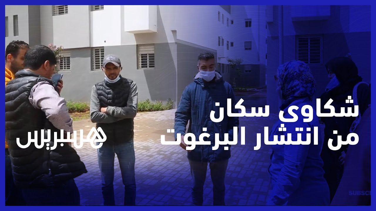 برغوت, أوساخ ومشاكل في الماء والكهرباء.. سكان إقامات نواحي البرنوصي يشتكون الشركة المكلفة بالسانديك