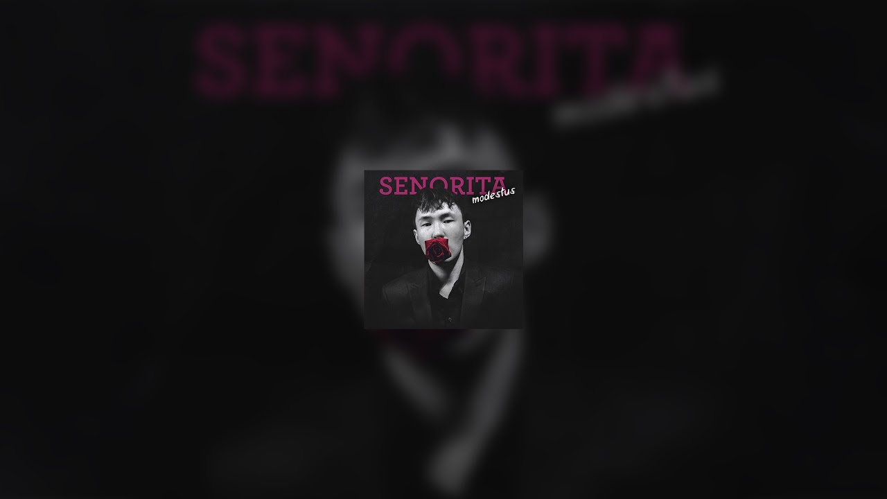 modestus - senorita (lyric video)