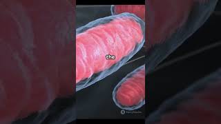 Discover the Tiny World Inside You! 🦠🧬 | The Amazing Microbiome