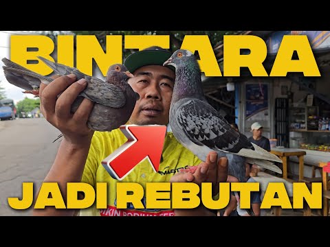 Merpati - Tak Rela (Official Music Video NAGASWARA) #music