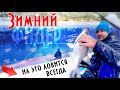 РЫБЫ МНОГО а не клюет ?! Как ловить зимой на фидер / На это ЛОВИТСЯ ВСЕГДА !!!  #фидер 2021