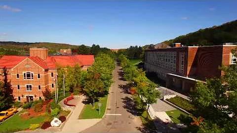 Alfred University