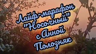 Лайф-марафон 