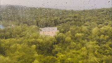 Thuyết Minh Rừng Sác Cần Giờ