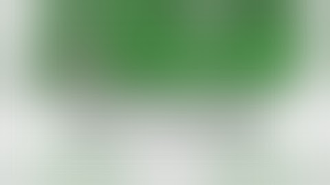 Southland’s Grand Defense Against Riverside Gophers!