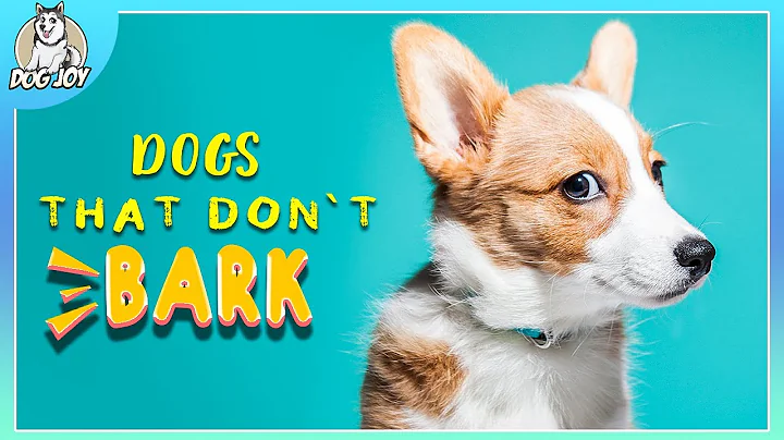 Peaceful Pooches: The Quietest Dog Breeds Revealed