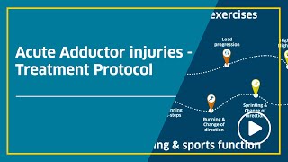 Acute Adductor injuries - Treatment Protocol