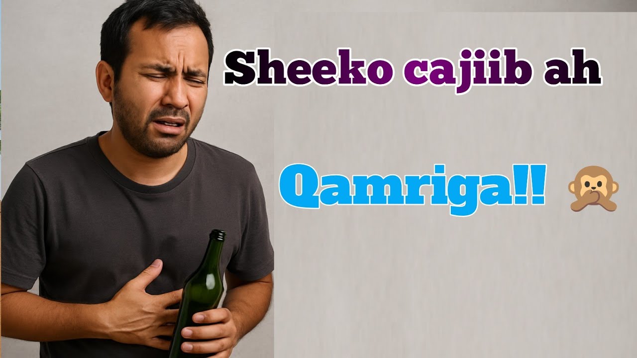 SHEEKO MURUGO BADAN, QAMRI 🥲