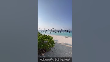 سورة الروم آية 17 إلى آيه 19
