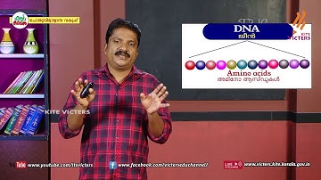 KITE VICTERS STD 10 Biology Class 49 (First Bell-ഫസ്റ്റ് ബെല്‍)