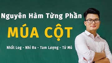 Nguyên Hàm Từng Phần Dùng Múa Cột Full (Toán 12)  | Thầy Nguyễn Phan Tiến