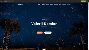Domior - Creative Personal Portfolio WordPress Theme        Bysshe Ha