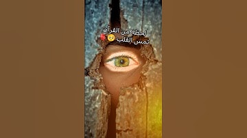 لحظة من القرآن تمس القلب #القرآن_الكريم #المصحف #اكسبلور #آيات_الرحمة #الرحمن #تلاوة #لايك