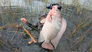 Fishing for HUGE tilapia and guapote in crystal clear water and cooking over an open fire in the ...