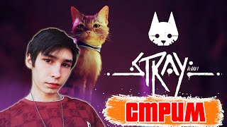 ПРИМЕРИЛ РОЛЬ КОТЕЙКИ! НАЧАЛО ПУТИ! - STRAY (ПРОХОЖДЕНИЕ НА СТРИМЕ!