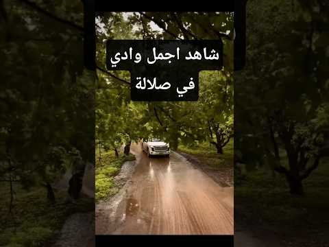 خريف صلالة 2025 شاهد وادي نحيز اجمل وادي في صلالة