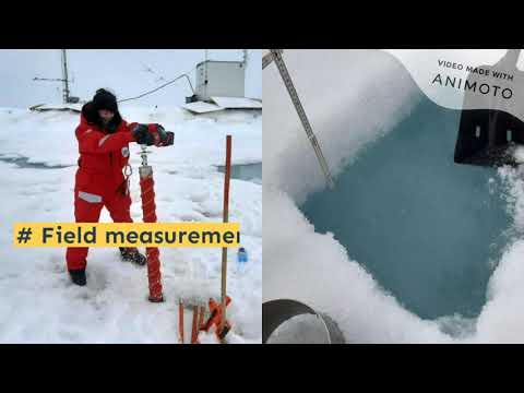 Aikaterini Tavri -Studying the Arctic Sea Ice: A Perspective from a Remote Sensing Scientist