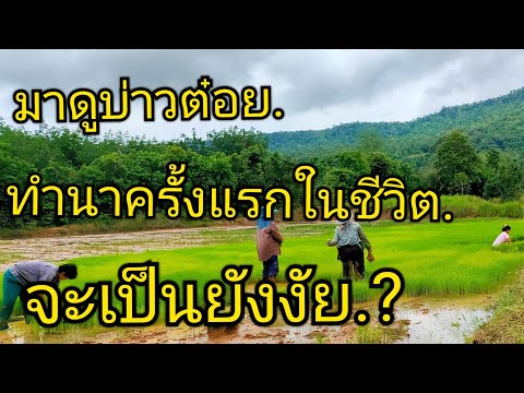 ผลสลากกินแบ่งรัฐบาล วันที่ 1 พย. 2567 ผลสลากกินแบ่งรัฐบาล วันที่ 1 พย. 2567
