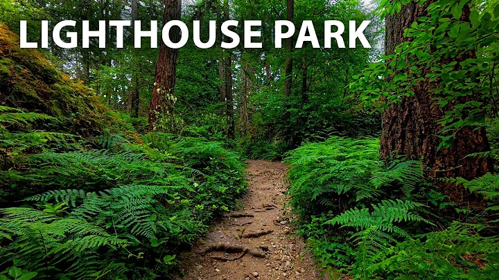 Meditative Walk Through Lighthouse Park’s Old Growth Forest | Amazing Bird Sounds