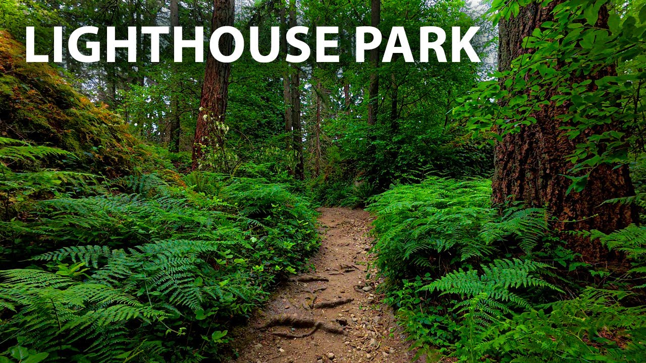 Meditative Walk Through Lighthouse Park’s Old Growth Forest | Amazing Bird Sounds